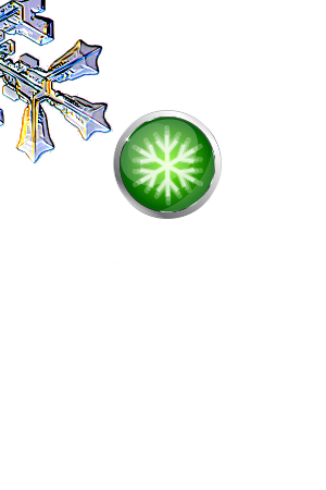 Staff & Guest Instructors